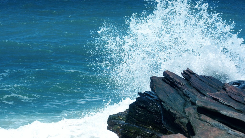 Investment Companies Making Waves Worldwide